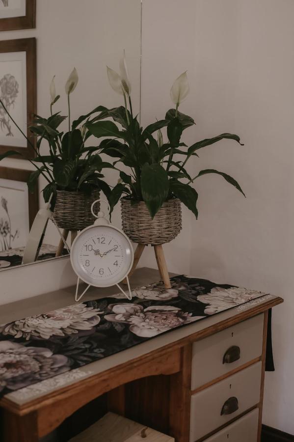 Villa Rose Guesthouse & Venue Bloemfontein Ngoại thất bức ảnh